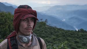 �La roya�, la pel�cula antioque�a que se pregunta por los j�venes del campo